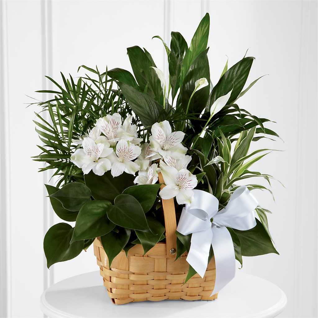 Peace & Serenity Dishgarden – BECCA'S BLING AND BLOOMS, Millington TN
