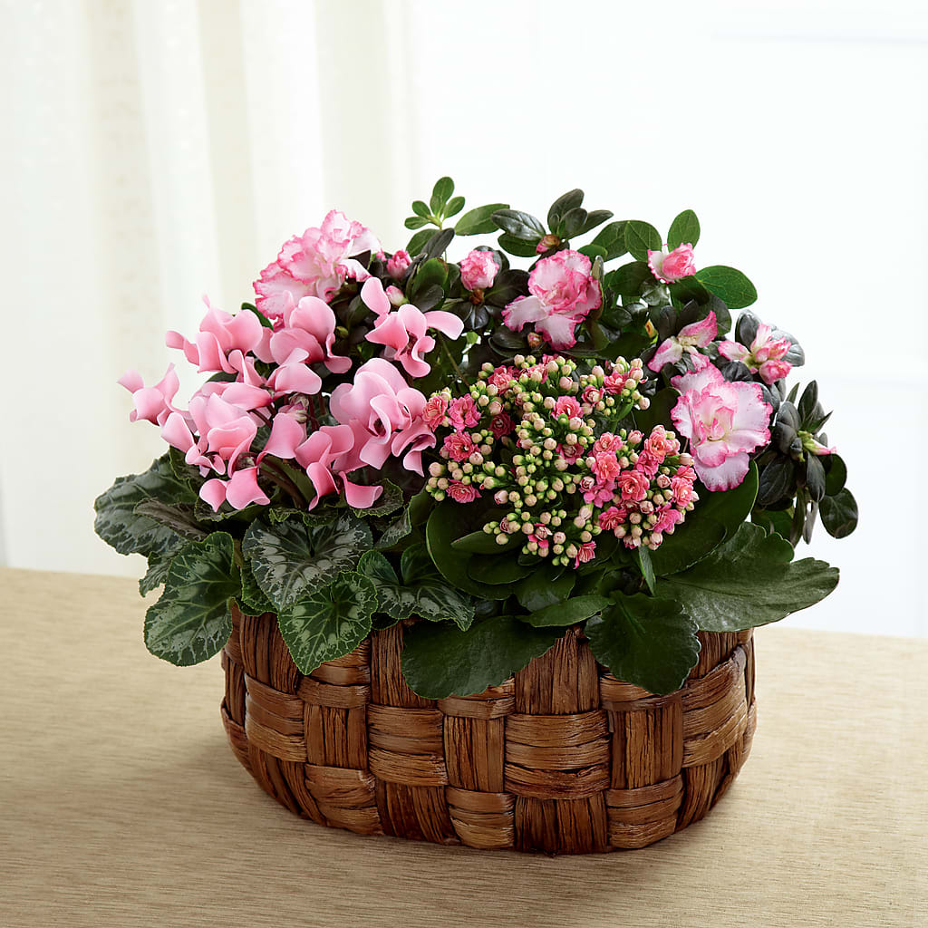 Pink Assortment – BECCA'S BLING AND BLOOMS, Millington TN