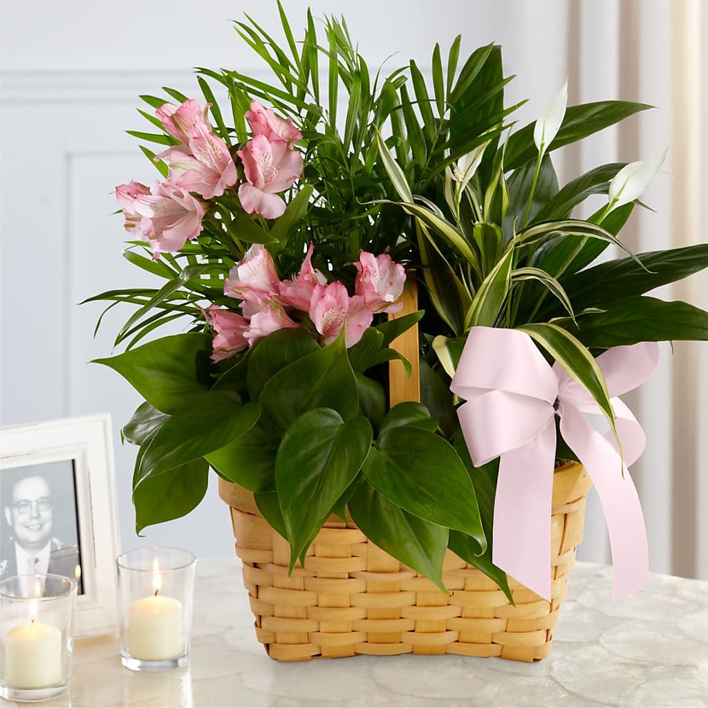 Living Spirit Dishgarden – BECCA'S BLING AND BLOOMS, Millington TN