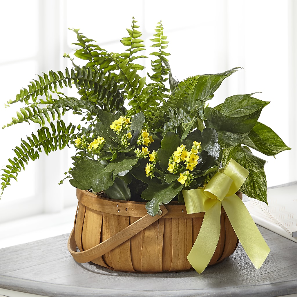 Always Dear Dishgarden – BECCA'S BLING AND BLOOMS, Millington TN