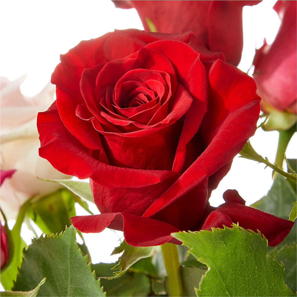 Love Notes Rose Bouquet – BECCA'S BLING AND BLOOMS, Millington TN