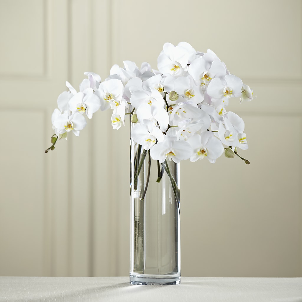 White Phalaenopsis Bouquet – BECCA'S BLING AND BLOOMS, Millington TN