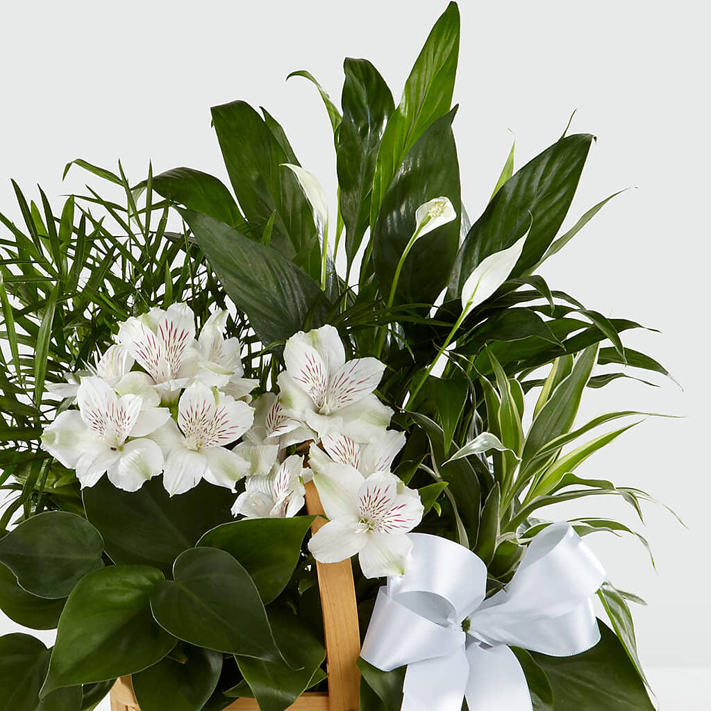 Peace & Serenity Dishgarden – BECCA'S BLING AND BLOOMS, Millington TN