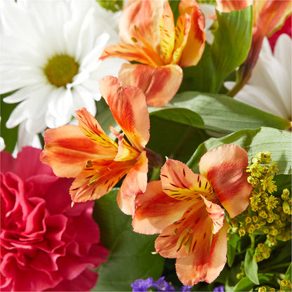 Oopsie Daisy Box Bouquet – BECCA'S BLING AND BLOOMS, Millington TN