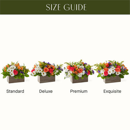 Oopsie Daisy Box Bouquet – BECCA'S BLING AND BLOOMS, Millington TN