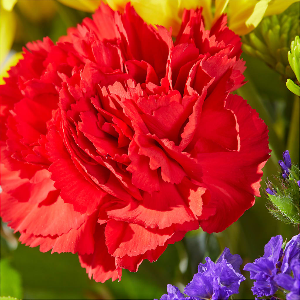 Brighter Days Bouquet – BECCA'S BLING AND BLOOMS, Millington TN