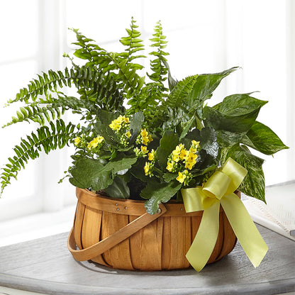 Always Dear Dishgarden – BECCA'S BLING AND BLOOMS, Millington TN