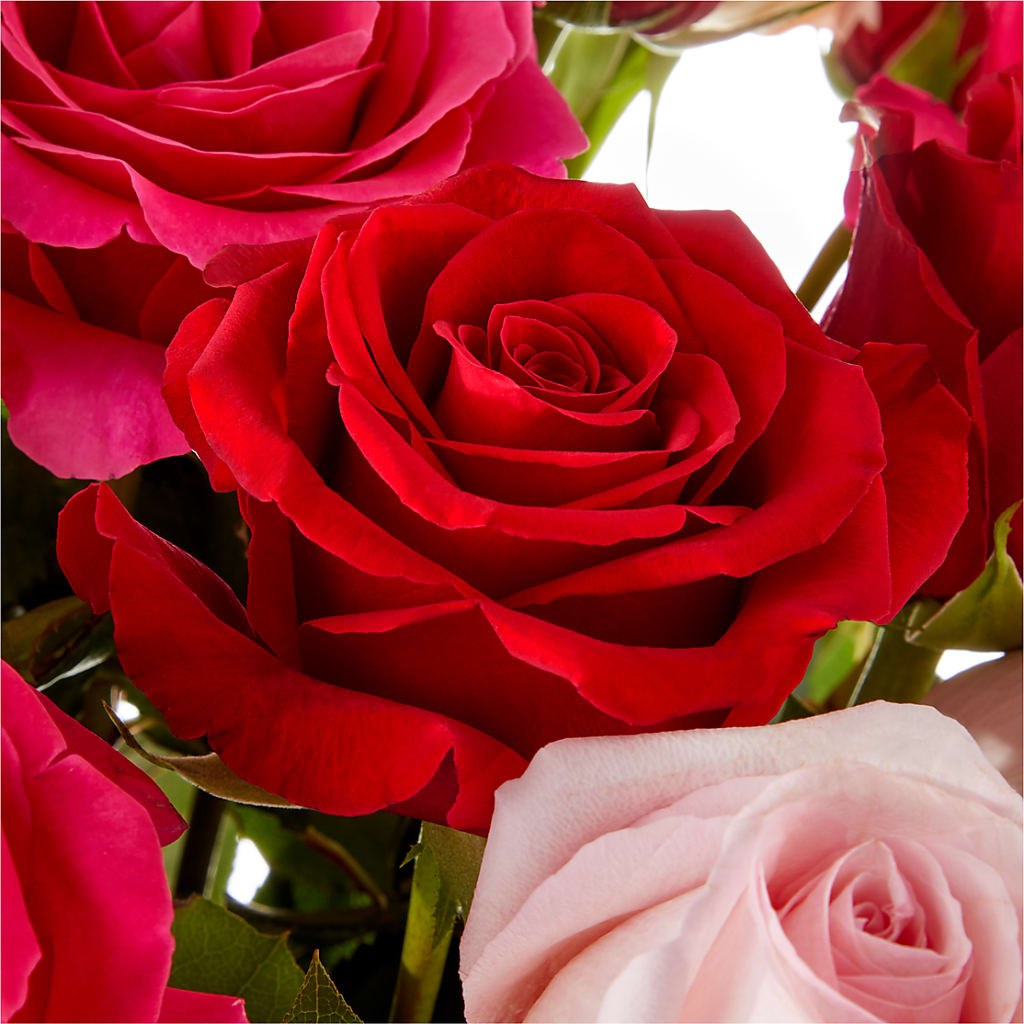 Love Notes Rose Bouquet – BECCA'S BLING AND BLOOMS, Millington TN
