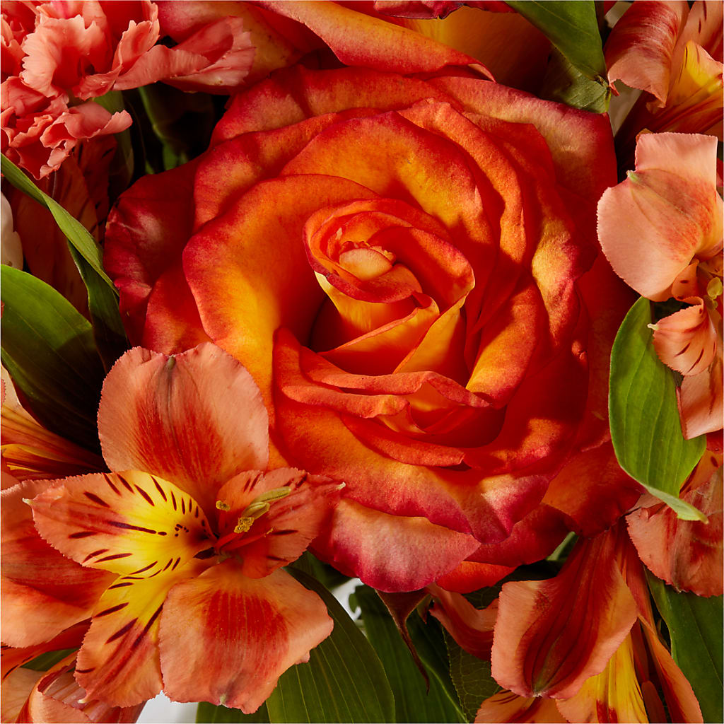 Apricot Glow Bouquet – BECCA'S BLING AND BLOOMS, Millington TN