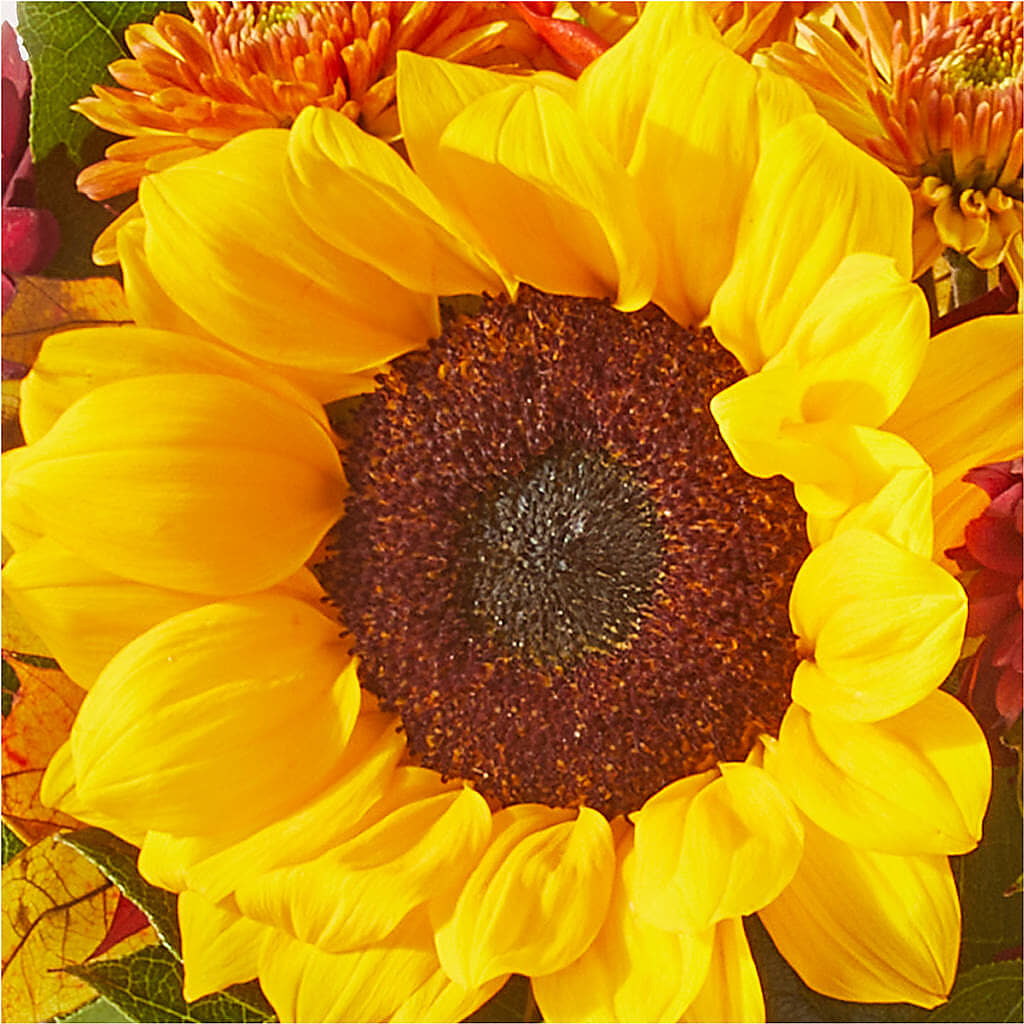 Sunny Side Bouquet – BECCA'S BLING AND BLOOMS, Millington TN